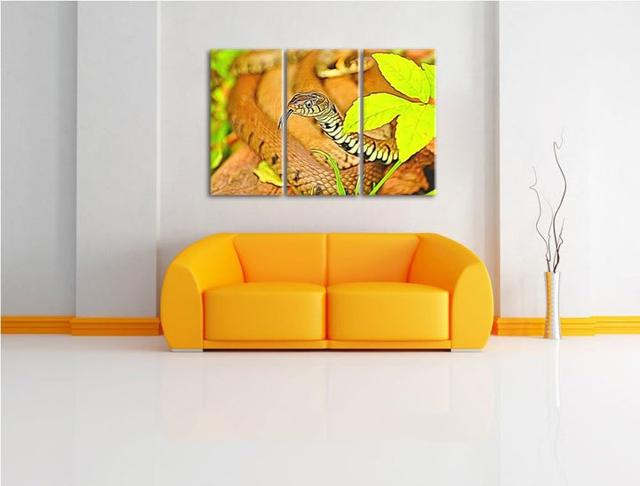 beeindruckende Schlange NewArt 3-Teiler Leinwandbild 120x80 Bild auf Leinwand, XXL riesige Bilder fe