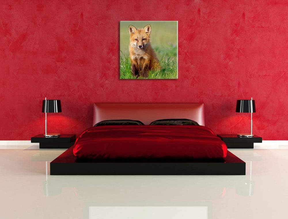 Pixxprint Kleiner Fuchs, Format: 70x70 auf Leinwand, XXL riesige Bilder fertig gerahmt mit Keilrahme