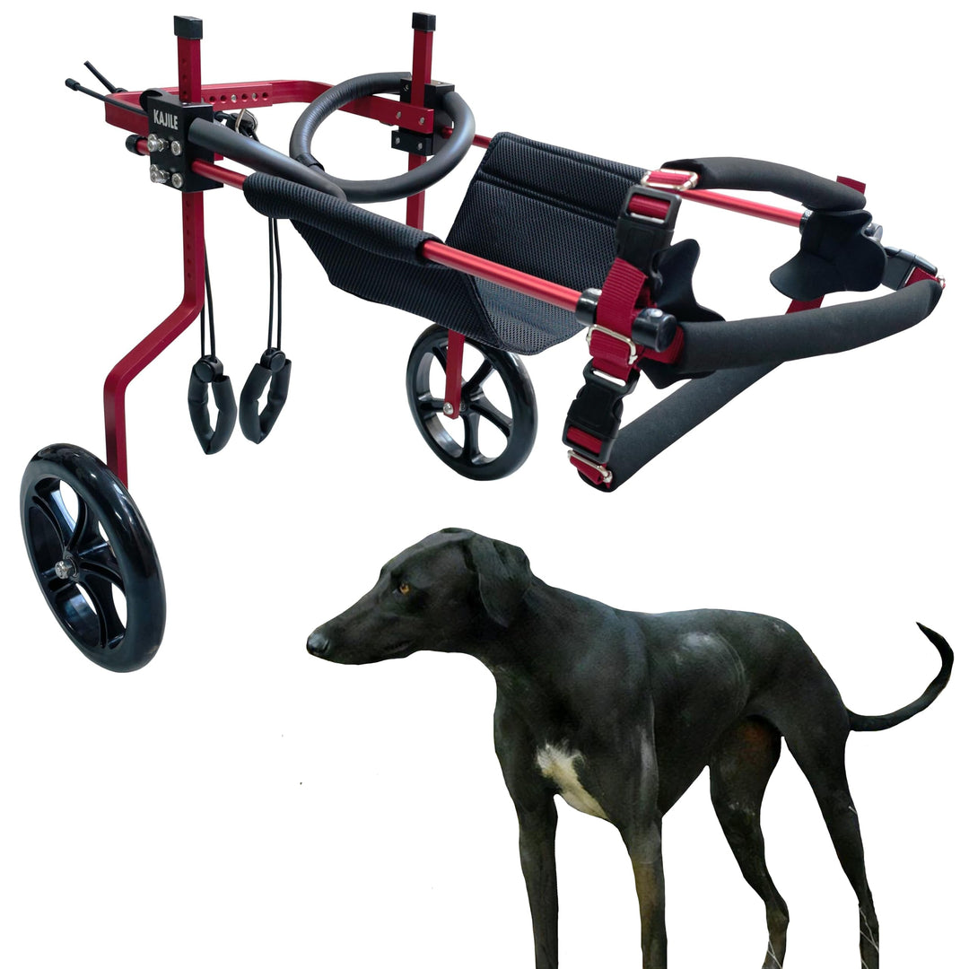 KAJILE Verstellbarer 2-Rad-Hunderollstuhl, XL-1 Grösse für behinderte Hund Hinterbeine Rehabilitatio