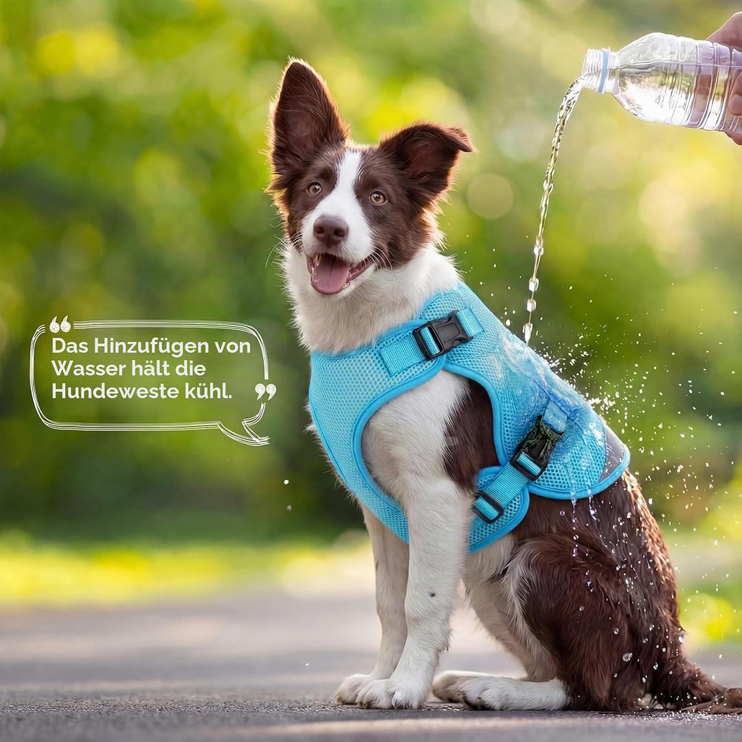 Kühlweste für Hunde XL, Hundekühlweste für grosse Hunde, Atmungsaktiv &amp; Leicht, Verdunstungskühlung,