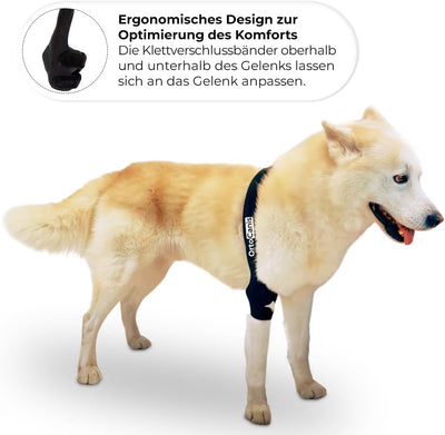 Ortocanis - Ellbogenbandage für Hunde mit Arthrose, Verletzungen, Hygromen oder Bursitis, Grösse M,