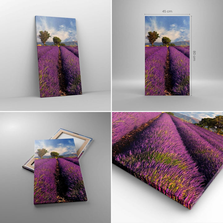 Bilder auf Leinwand Landschaft Wiese Pflanzen Leinwandbild mit Rahmen 45x80cm Wandbilder Dekoration