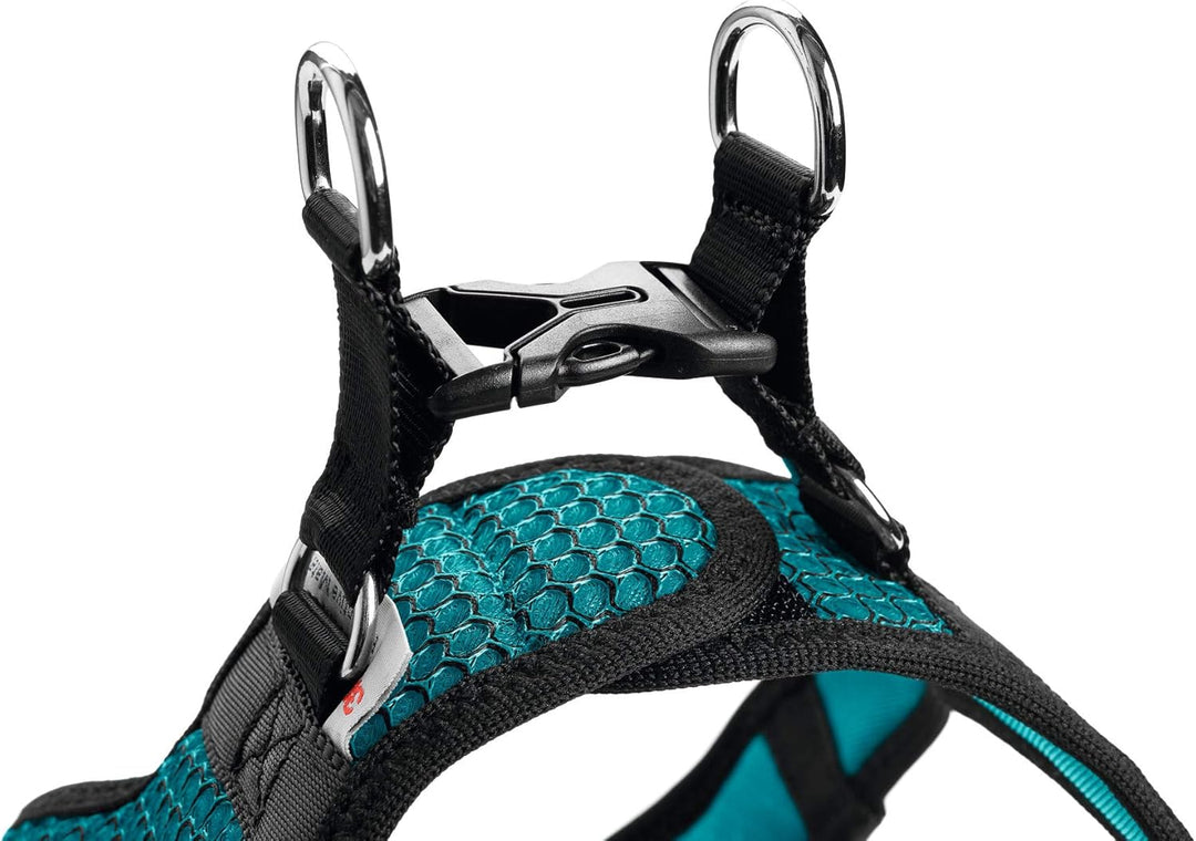 HUNTER HILO COMFORT Geschirr für kleine Hunde mit Netzmaterial und reflektierenden Elementen, türkis