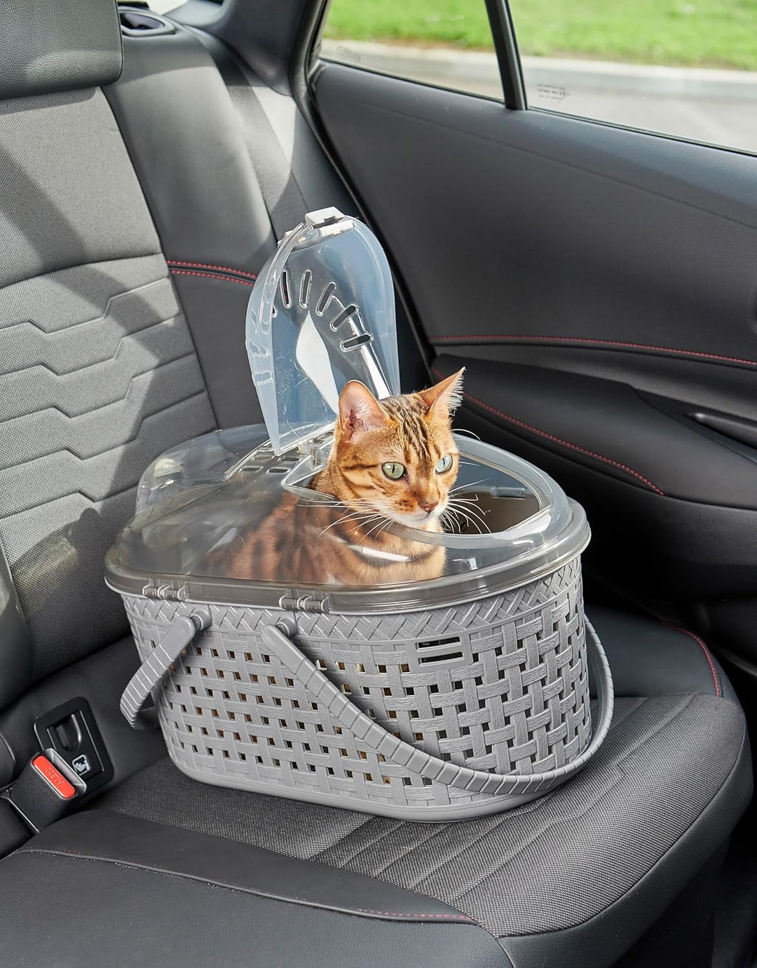 Iris Ohyama, Korb, Box, Tasche, Transportkäfig aus Kunststoff(PP) für Katze, Hund, 45 x T29 x H28.5