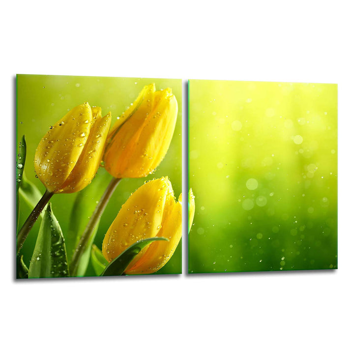 TMK | Herdabdeckplatten Set 2x40x52 cm Ceranfeld Abdeckung Glas Spritzschutz Abdeckplatte Glasplatte