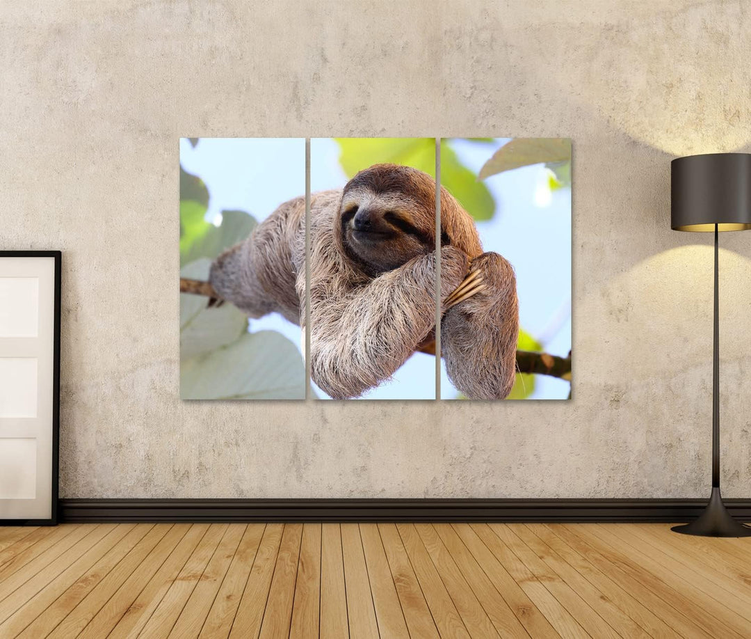 islandburner Bild auf Leinwand Schlafendes Faultier Auf Ast Bilder Wandbilder Poster Leinwand 130x80