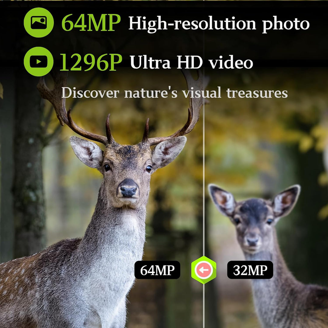 2tlg. Wildkamera Fotofalle Beute Kamera JagdKamera, 32MP HD Video, 36pcs IR LED No-Glow Nachtsicht W