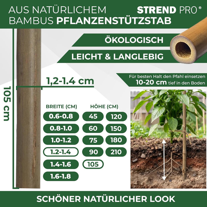 STREND PRO Bambusstäbe 105 cm - 10 Stk. | Ø 12-14 mm Natürliche Holzstäbe | Pflanzstäbe & Rankhilfe