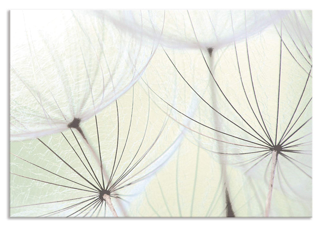 ARTland Spritzschutz Küche aus Alu für Herd Spüle 80x55 cm (BxH) Küchenrückwand mit Motiv Blume Pust