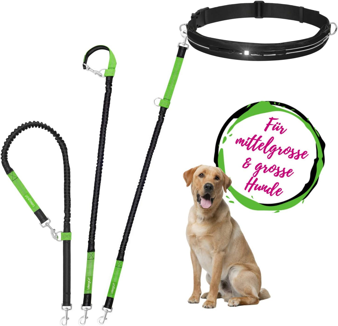 Leisegrün Joggingleine für grosse Hunde | Freihandleine zum Joggen mit Bauchgurt und Ruckdämpfer | L