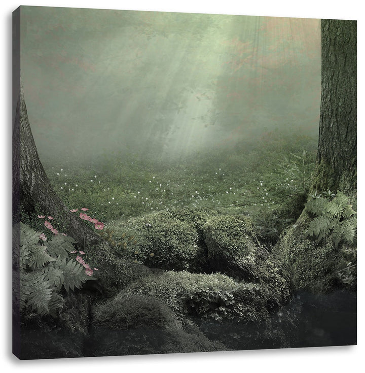 Pixxprint Märchenwald mit Schmetterling schwarz/weiss, Format: 70x70 auf Leinwand, 70x70