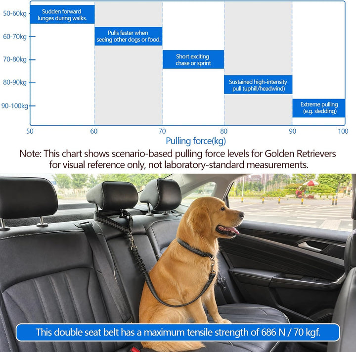 Trennnetz für Hunde, Auto-Hundeschutznetz 70x57cm mit Taschen | Universal Auto Absperrung Netz mit A