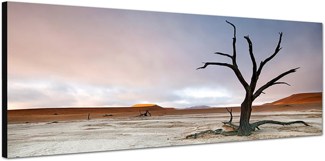 Paul Sinus Art Panoramabild auf Leinwand und Keilrahmen 150x50cm Wüstenlandschaft Baum Himmel