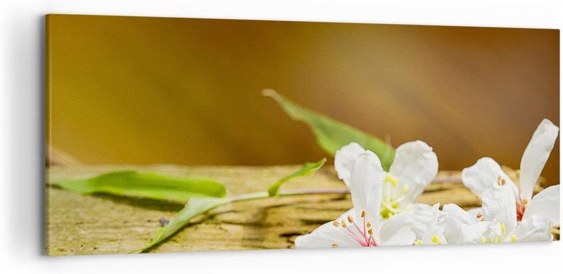 Wandbilder Dekoration Wohnzimmer Asien spa bambus blume Panorama Bilder auf Leinwand 120x50cm Leinwa