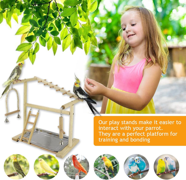Holzsammlung Vogel Spielplatz Holz, Vogelspielplatz für Wellensittiche, Wellensittich Spielplatz Fre