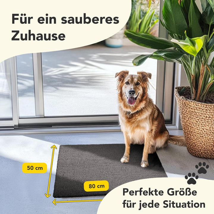 Floordirekt Fussmatte für Innen und Aussen, 50x80 cm Grau, Türmatte aus Kokos, Schmutzfangmatte für