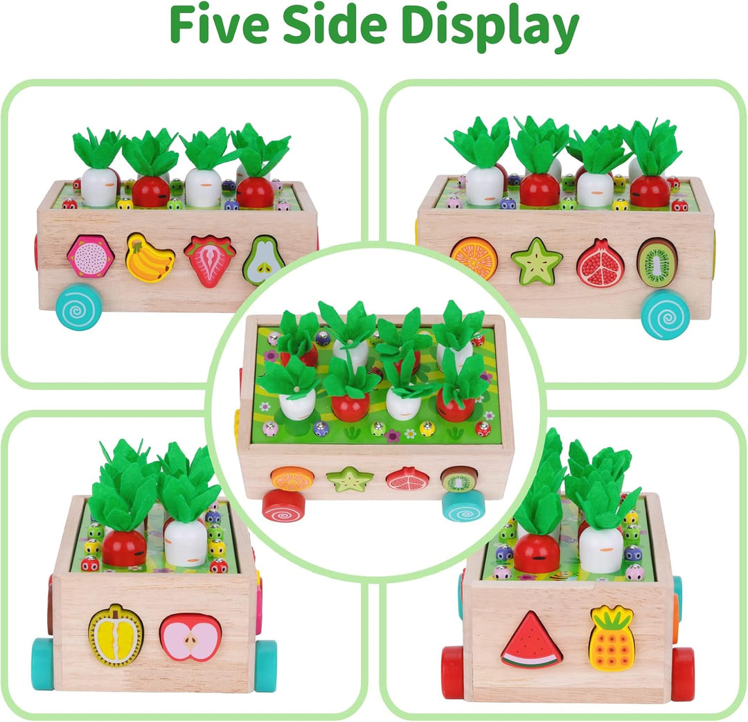 Kinder Montessori Spielzeug ab 1 2 3 Jahr | 7-in-1 Holzspielzeug 2 Jahre | Steckspiel Sortierspiel H