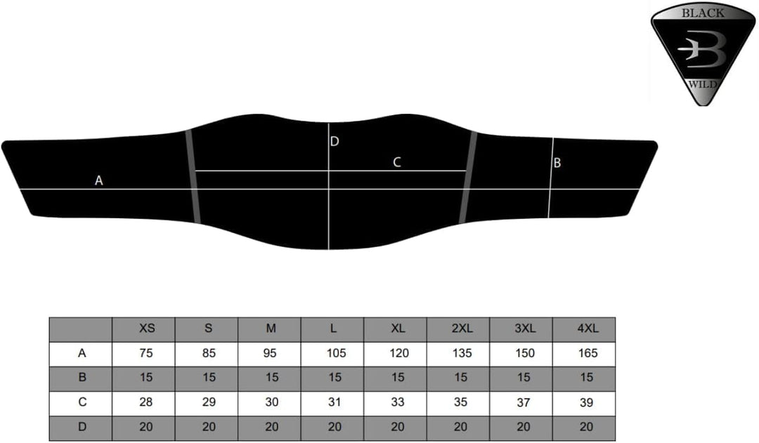 BLACKWILD Nierengurt Motorrad | 3M Thinsulate Warme Nierengurt Motorrad Herren und Damen für kaltes
