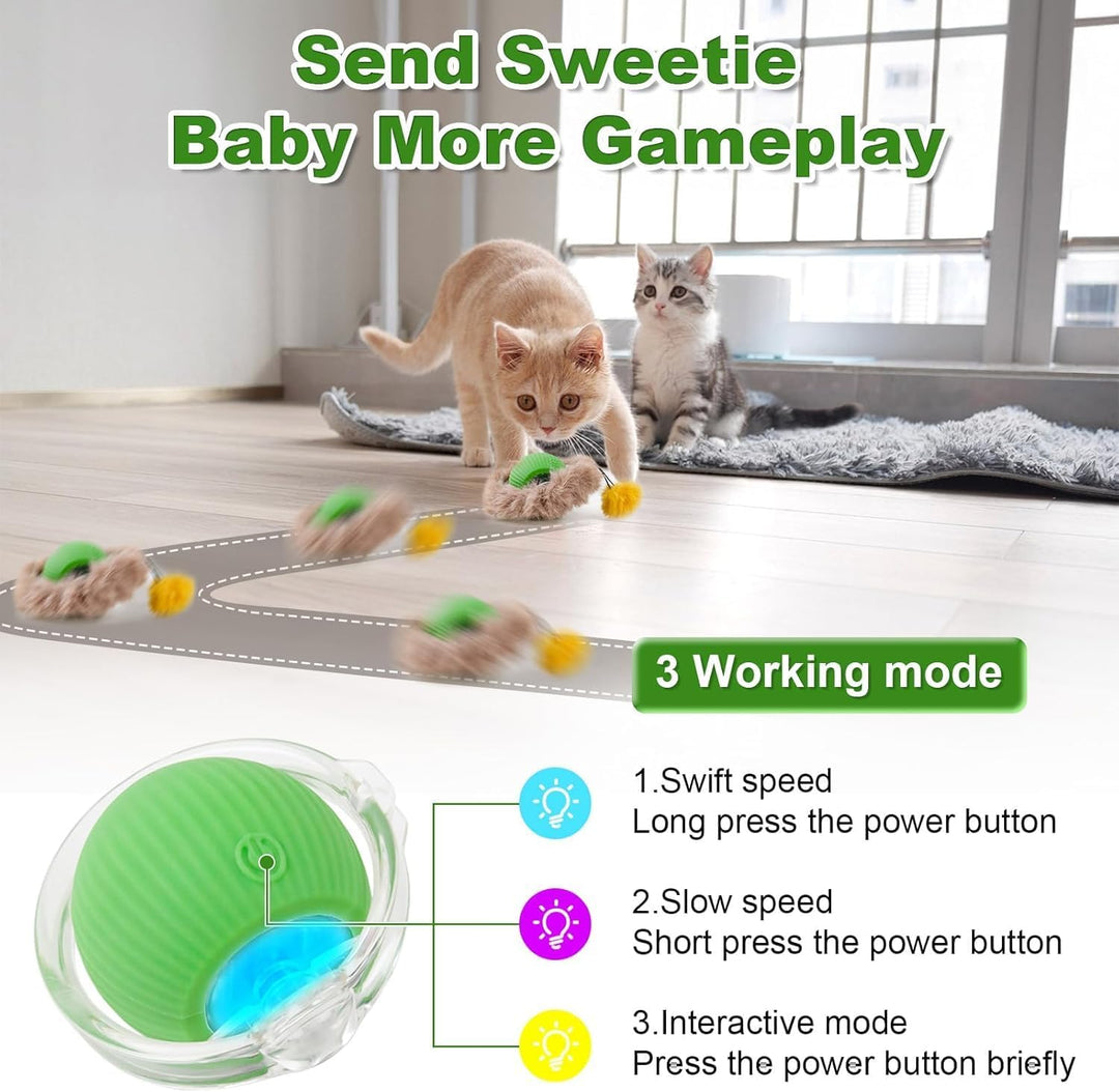 Interactive katzen spielzeug, Katzen Spielteppich, Katzenspielzeug Selbstbeschäftigung Matte Mit Bal
