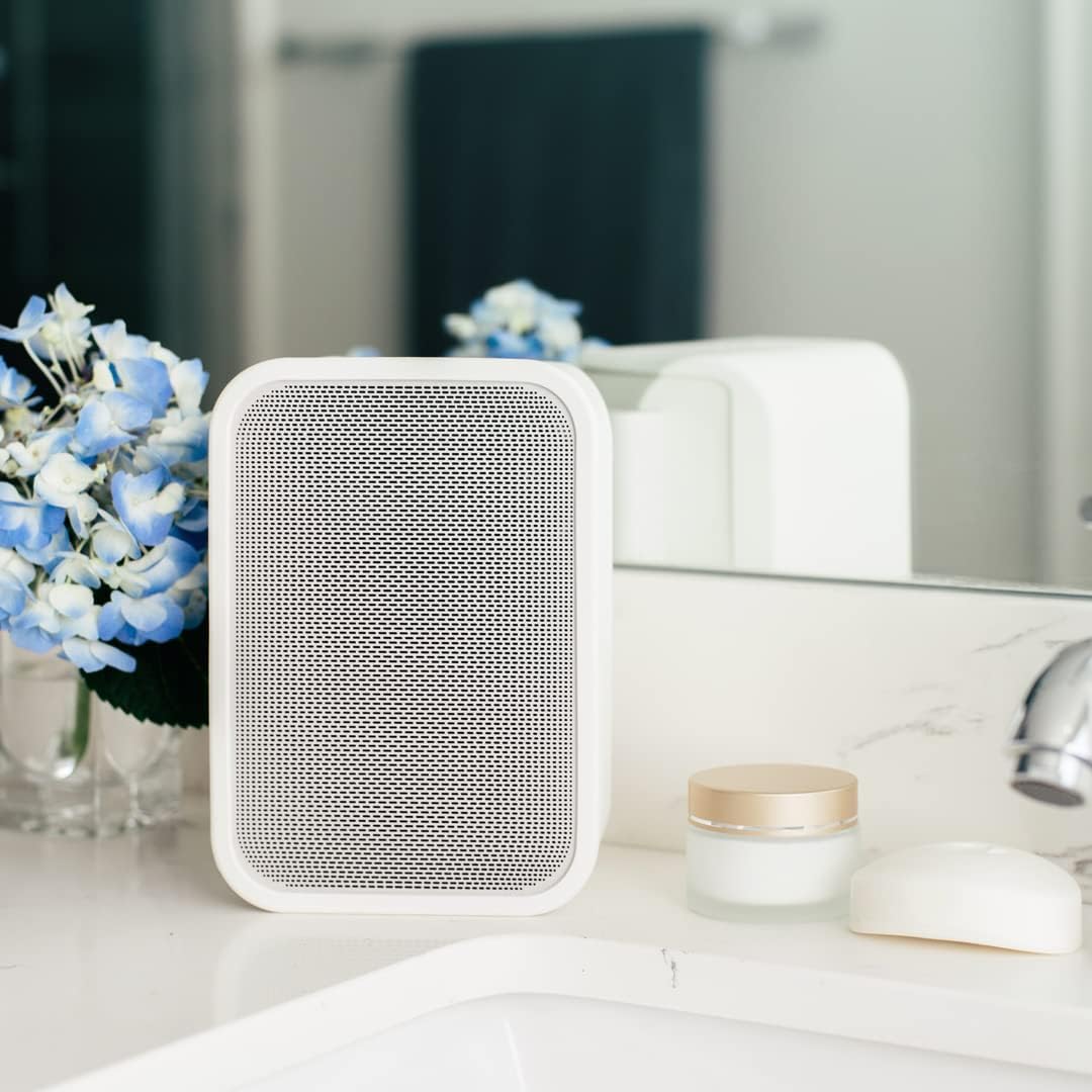 Bluesound Pulse Flex 2i tragbarer kabelloser Streaming-Lautsprecher - Weiss White, White