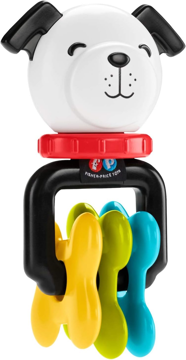 Fisher-Price FBH63 - Spielspass Geschenkset, 6 Fisher-Price Produkte inklsive Beissring und Rassel,