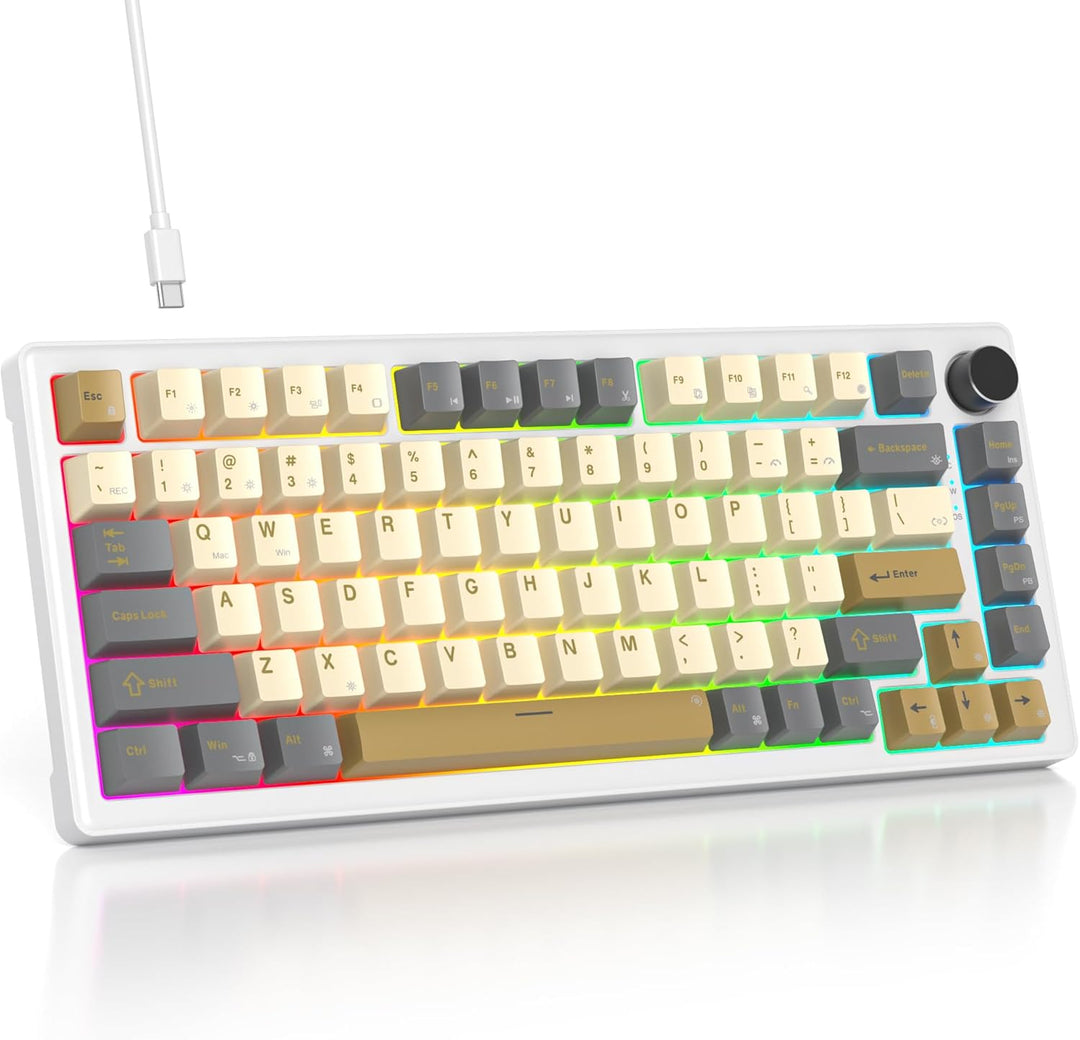 SOLIDEE Verkabelte Mechanische Gaming Tastatur 75 Prozent, Hot-Swap-Fähig Mit Gasket Struktur, RGB H
