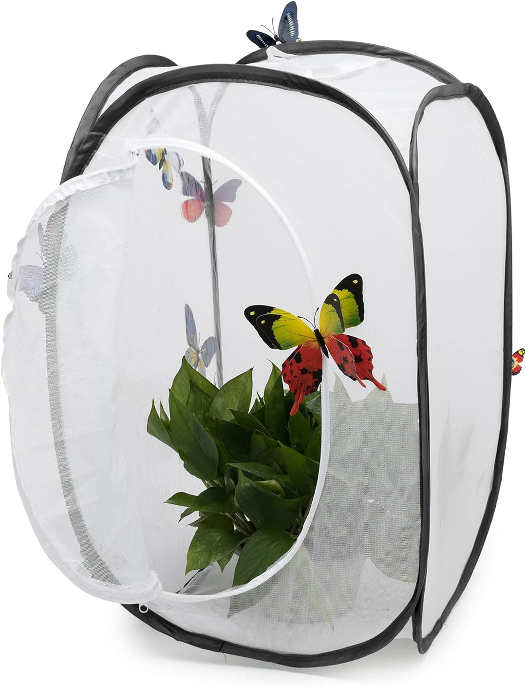 Hyindoor Insekt Und Schmetterling Habitat Käfig Terrarium Schutz Käfig Schwarz, Schwarz