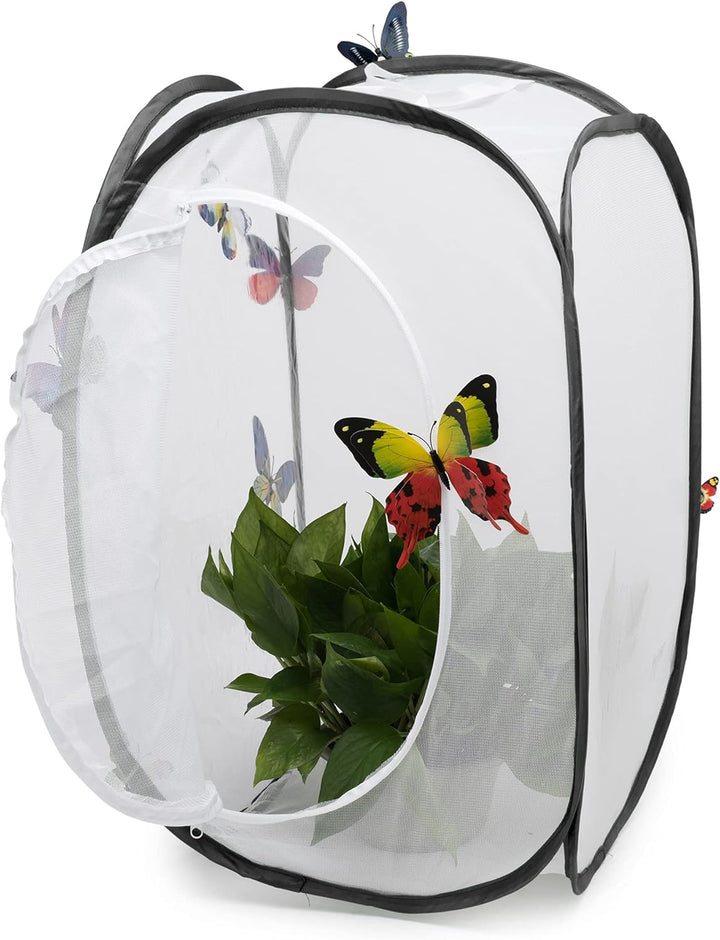 Hyindoor Insekt Und Schmetterling Habitat Käfig Terrarium Schutz Käfig Schwarz, Schwarz