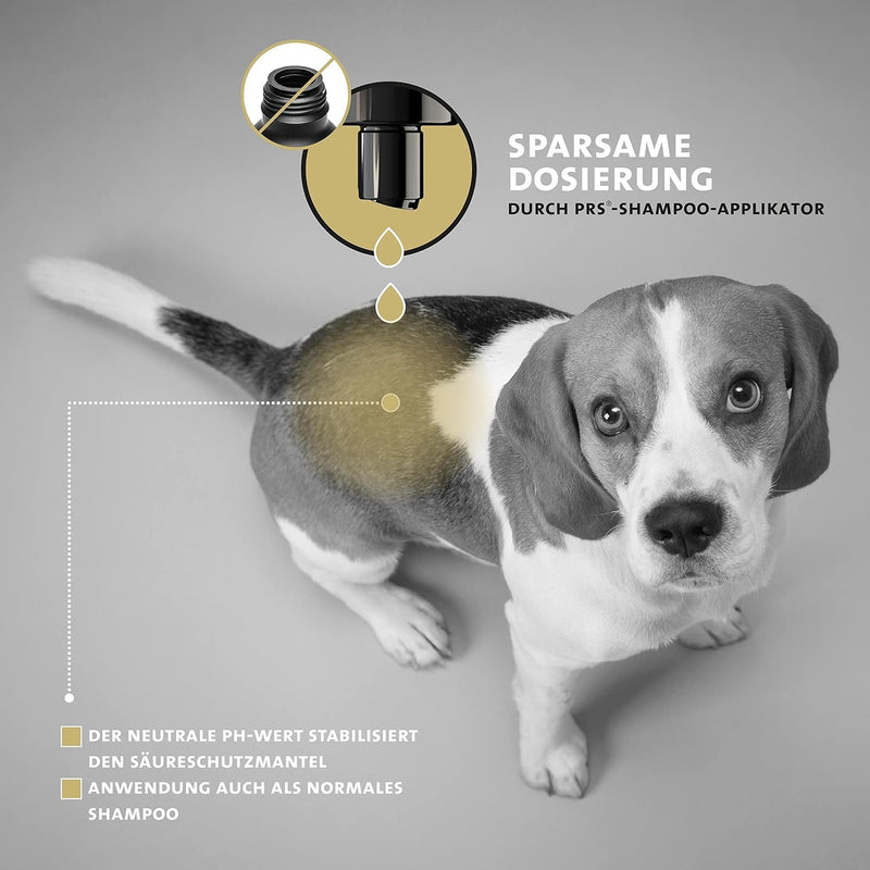 Peticare Anti-Schuppen Shampoo für Hunde | bei Juckreiz & Hautirritationen | für trockene & Sensible