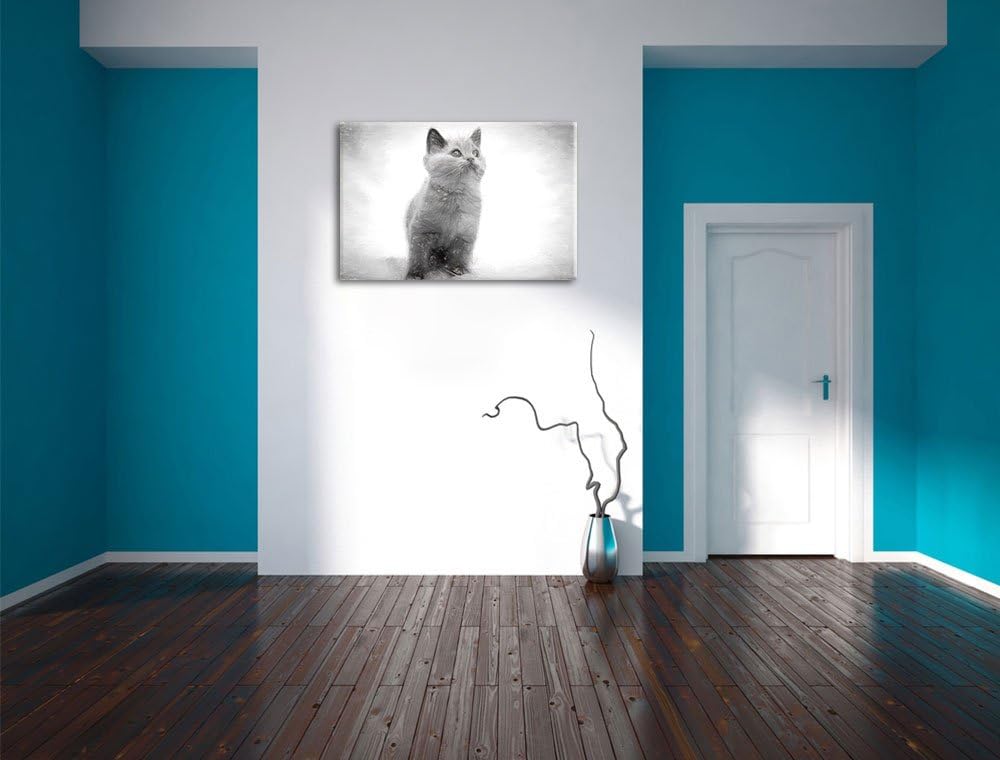 Pixxprint Niedliches Katzenbaby auf Teppich als Leinwandbild/Grösse: 100x70 cm/Wandbild/Kunstdruck/f