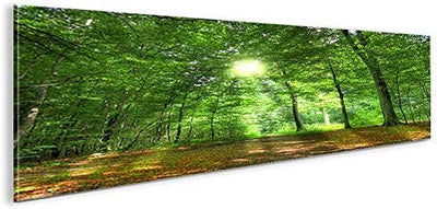 islandburner Bild Bilder auf Leinwand Wald Sonne V2 Panorama XXL Poster Leinwandbild Wandbild Dekoar