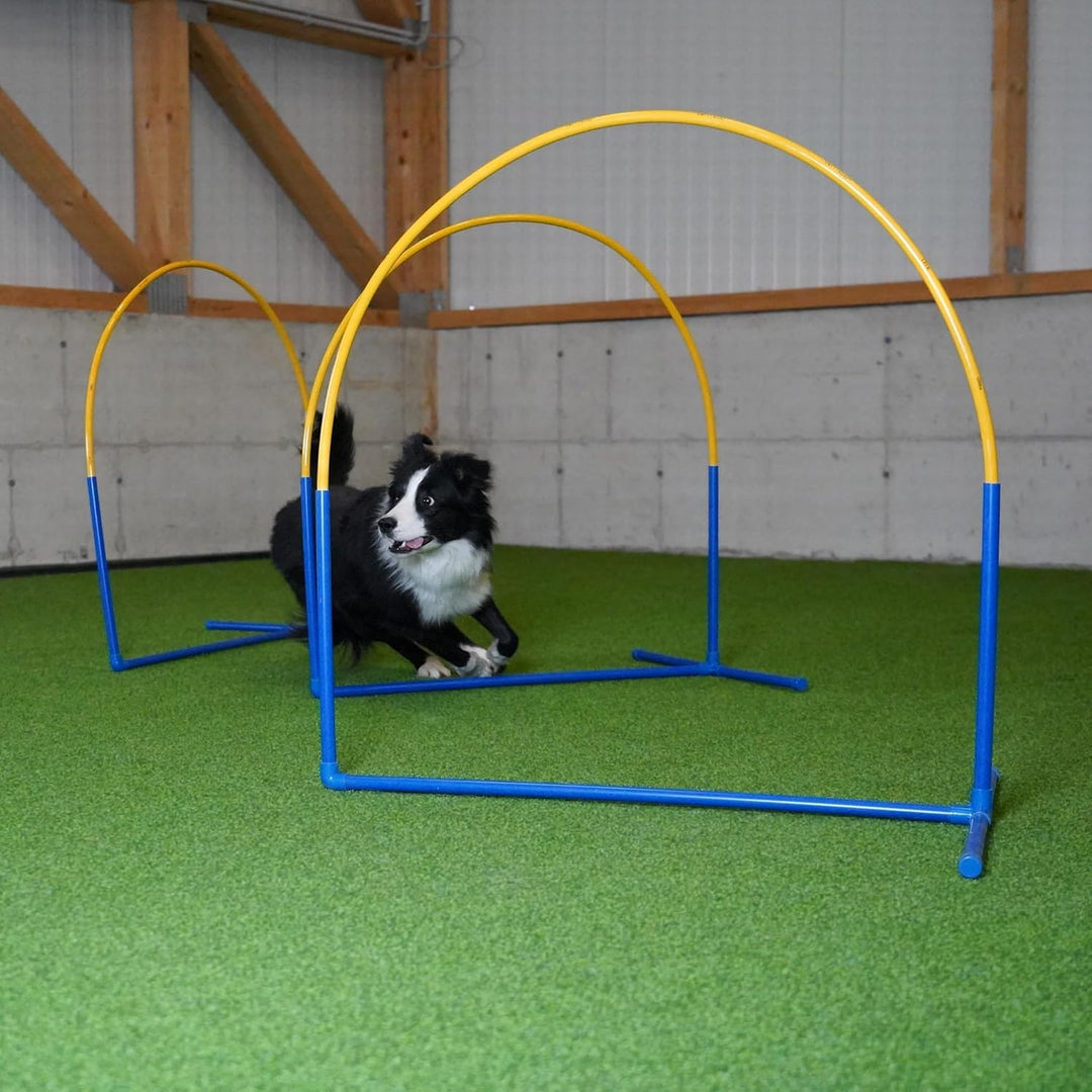 Callieway 6X NADAC Hoopers Agility Hoops - Grosspackung Fun Hoops - Blau - 6er Pack (Mit Mittelstreb