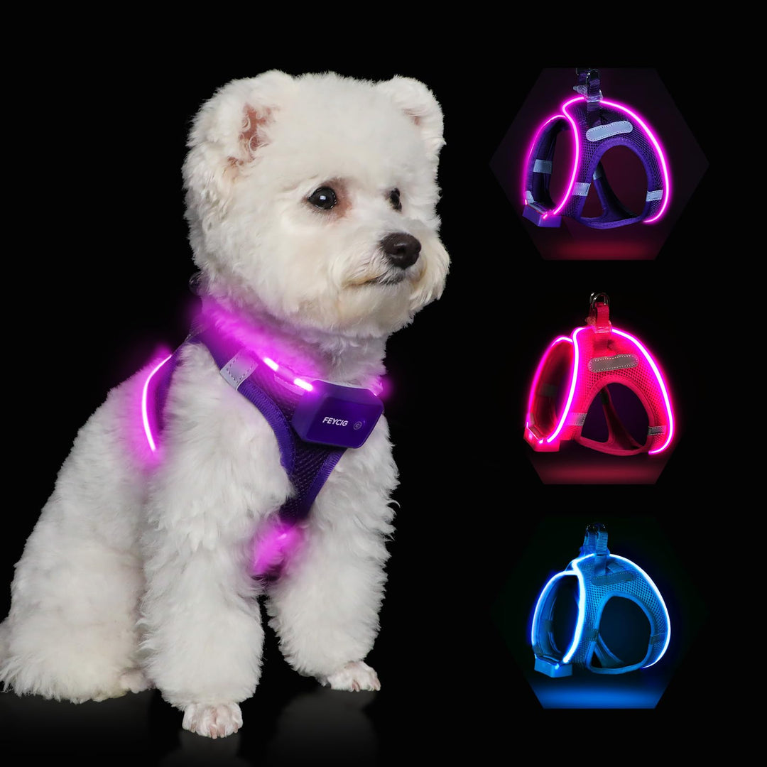 Leuchtend Hundegeschirr LED Aufladbar - Leuchtgeschirr Leuchtendes &amp; Reflektierendes für Welpe Klein