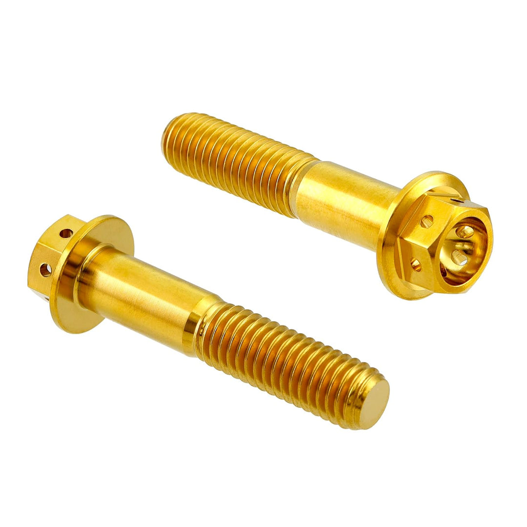 RISON Titanium Bolzen M8x1.25x25mm Titan Flansch Schrauben TC4 Titan Schrauben Sechskantschraube gol