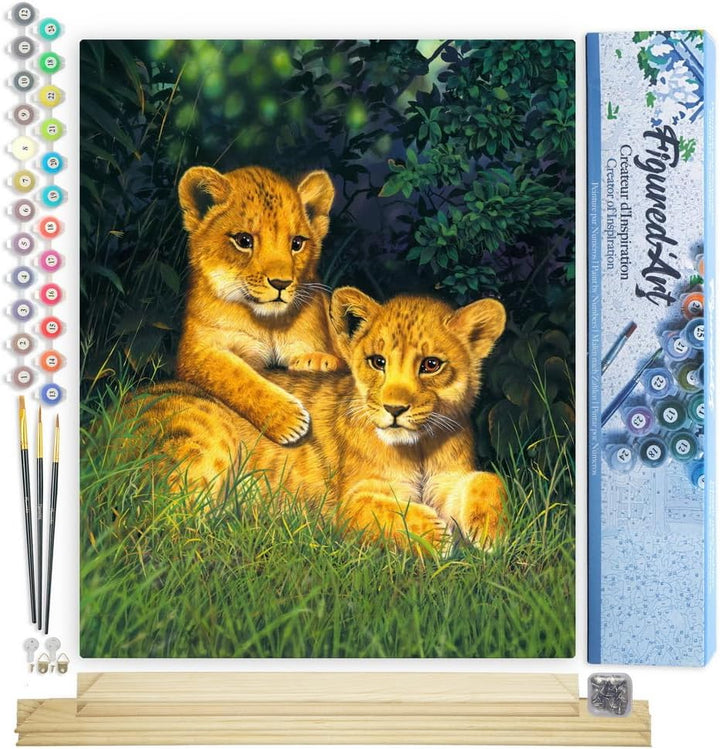 Figured'Art Malen Nach Zahlen Erwachsene Mit Rahmen Junge Löwen - Paint by Numbers Basteln DIY Baste