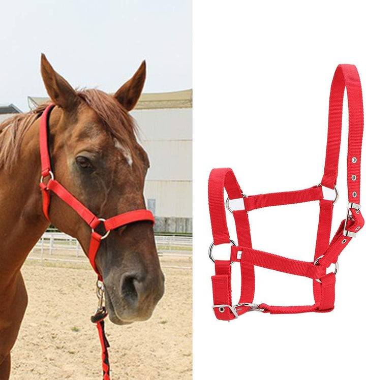 YOUTHINK Horse Halter High Density 6Mm Verdicktes Gurtband Horse Bridle Control Halfter Reitzubehör