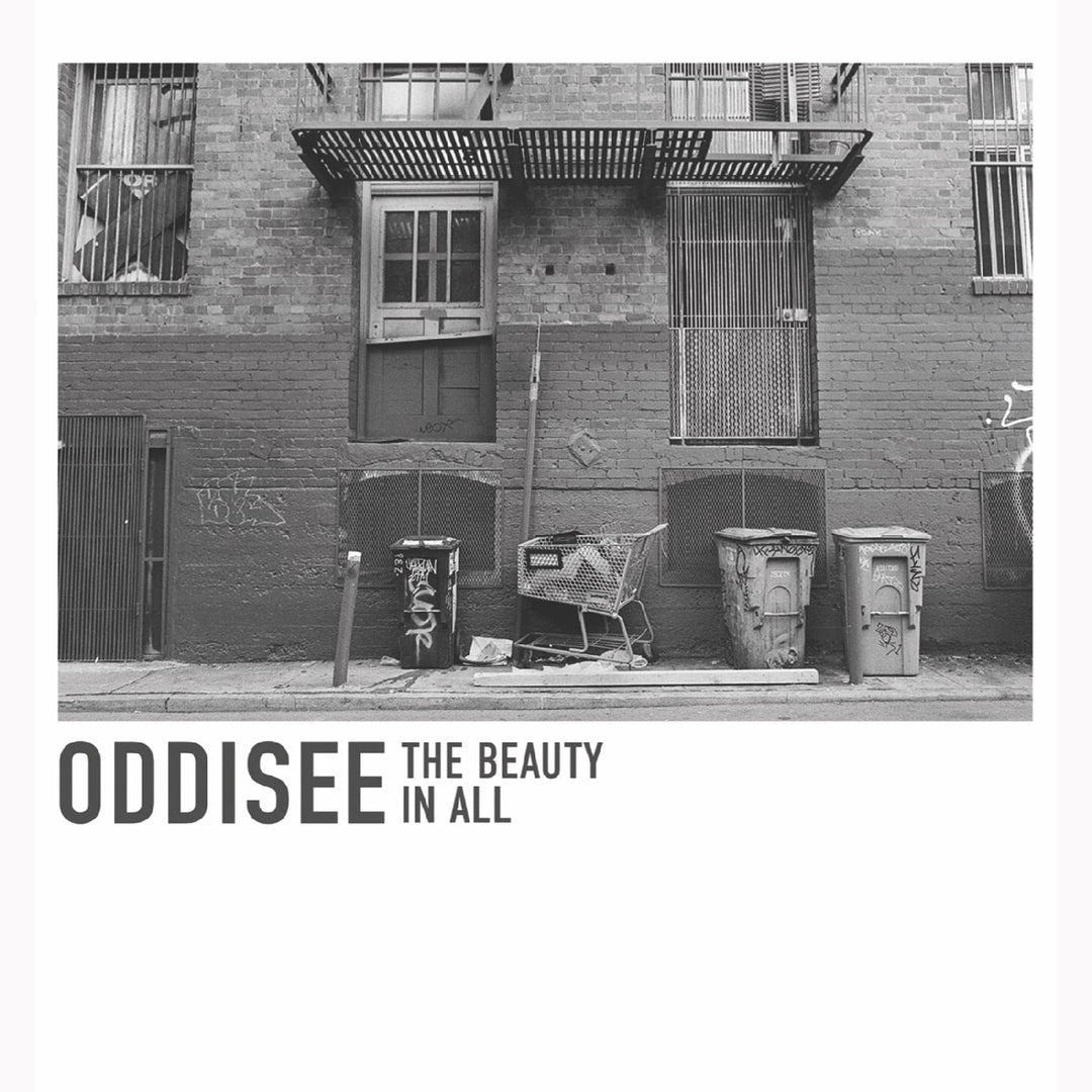 The Beauty In All Edition, Vinyl