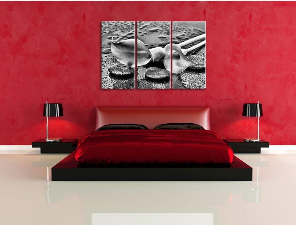 Pixxprint Callas im Regen / 3-Teilig/Gesamtmass 120cm Leinwandbild bespannt auf Holzrahmen/Wandbild