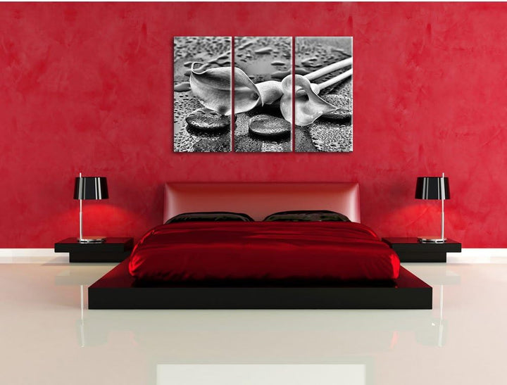 Pixxprint Callas im Regen / 3-Teilig/Gesamtmass 120cm Leinwandbild bespannt auf Holzrahmen/Wandbild