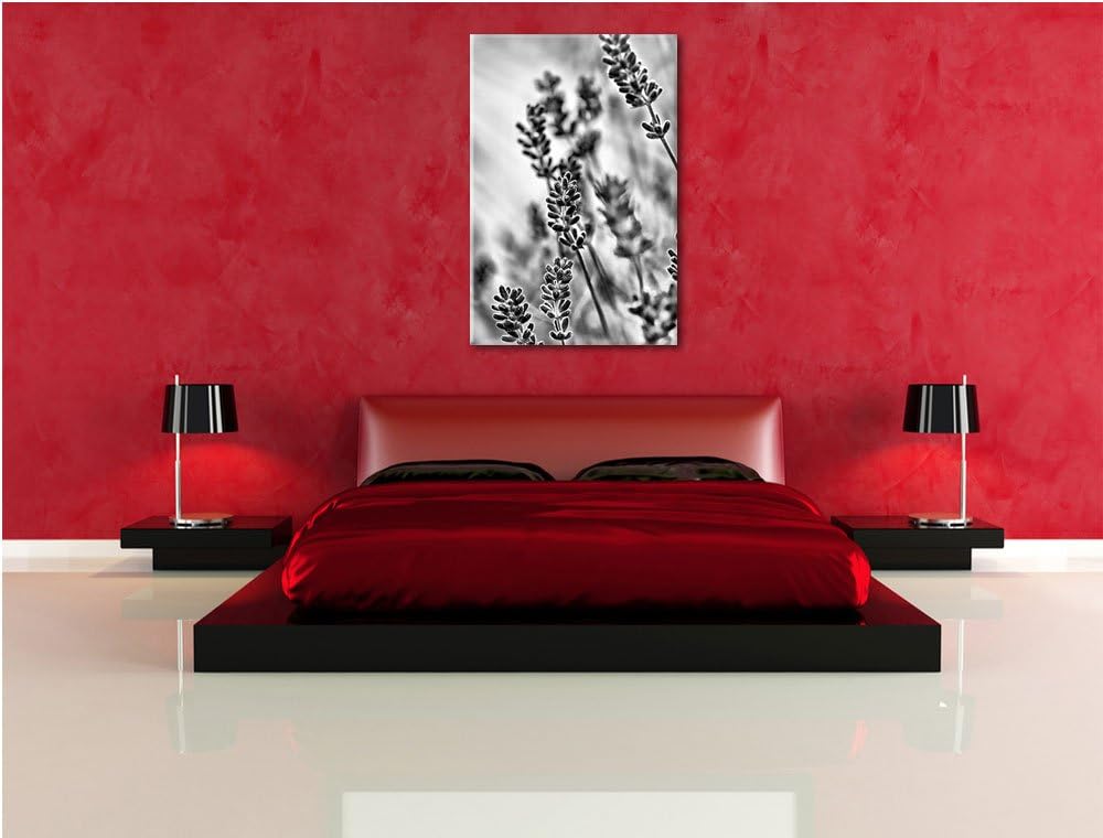 Monocrome, Lavendel , Format: 100x70 auf Leinwand, XXL riesige Bilder fertig gerahmt mit Keilrahmen,