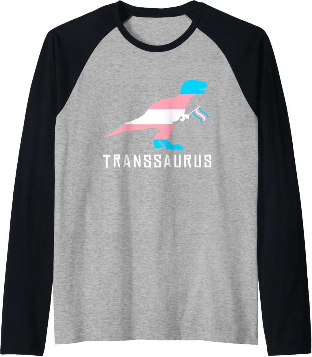 Transsaurus Dinosaurier LGBTQ Transgender Design Outfit Raglan