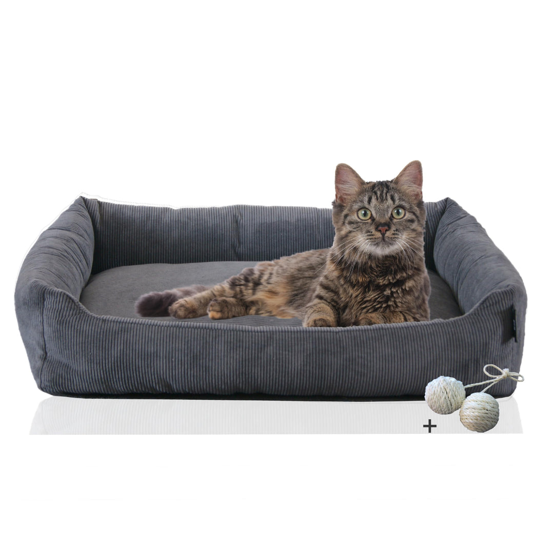 Rohrschneider Katzenbett Cordstoff mit Spielkugelset (Anthrazit, feiner Cordstoff) Anthrazit feiner