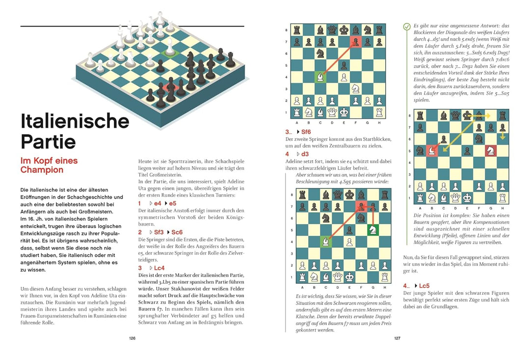 Im Schach gewinnen: Für jedes Level. Zug um Zug: 80 Wege zum Erfolg, Taschenbuch