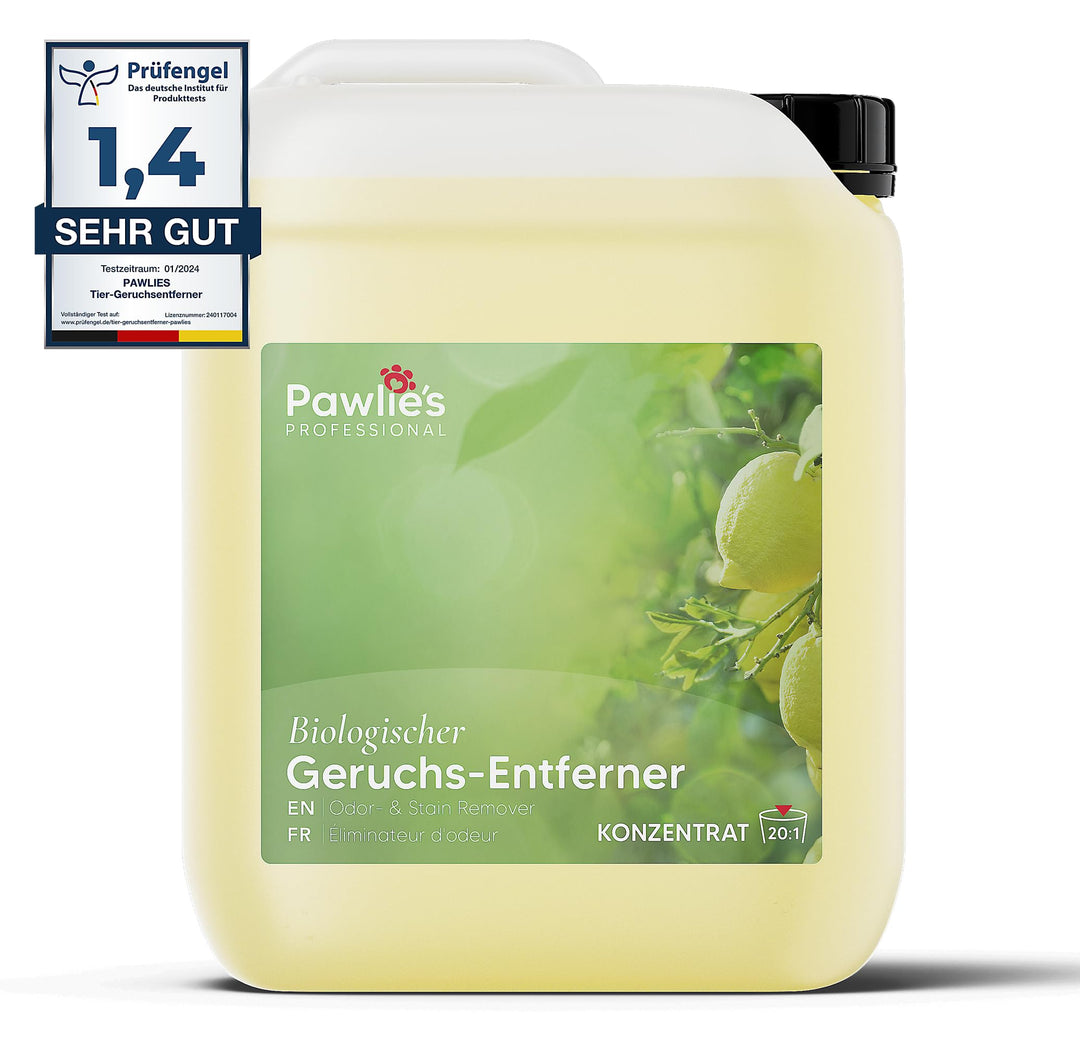 Pawlie's Tier-Geruchsneutralisierer (EXTREM STARK) & Enzymreiniger Katzenurin Geruchsentferner & Hun