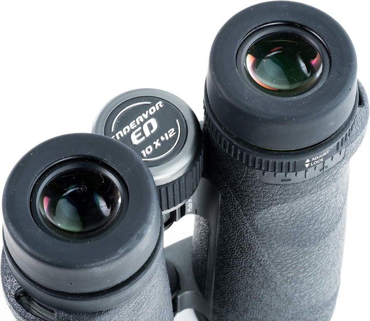 VANGUARD Endeavor ED 10x42 Fernglas, ED Glas, wasserdicht/beschlagsicher, Schwarz (Endeavor ED 1042)
