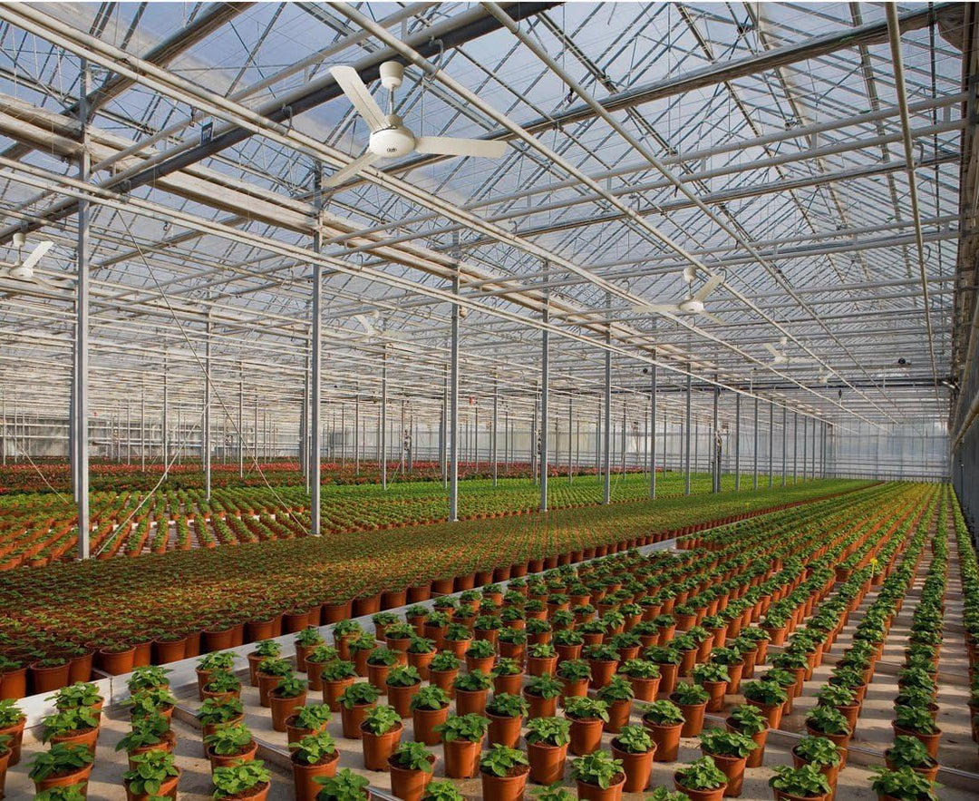 Vortice Deckenventilator, Sommer- und Winterschalter, Kraftvoll und leise, Ø 142 cm, Nordik Internat