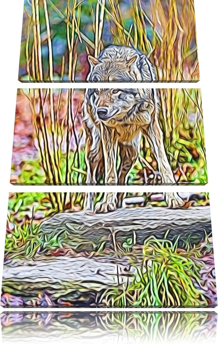 lauernder Wolf Spezial 3-Teiler Leinwandbild 120x80 Bild auf Leinwand, XXL riesige Bilder fertig ger