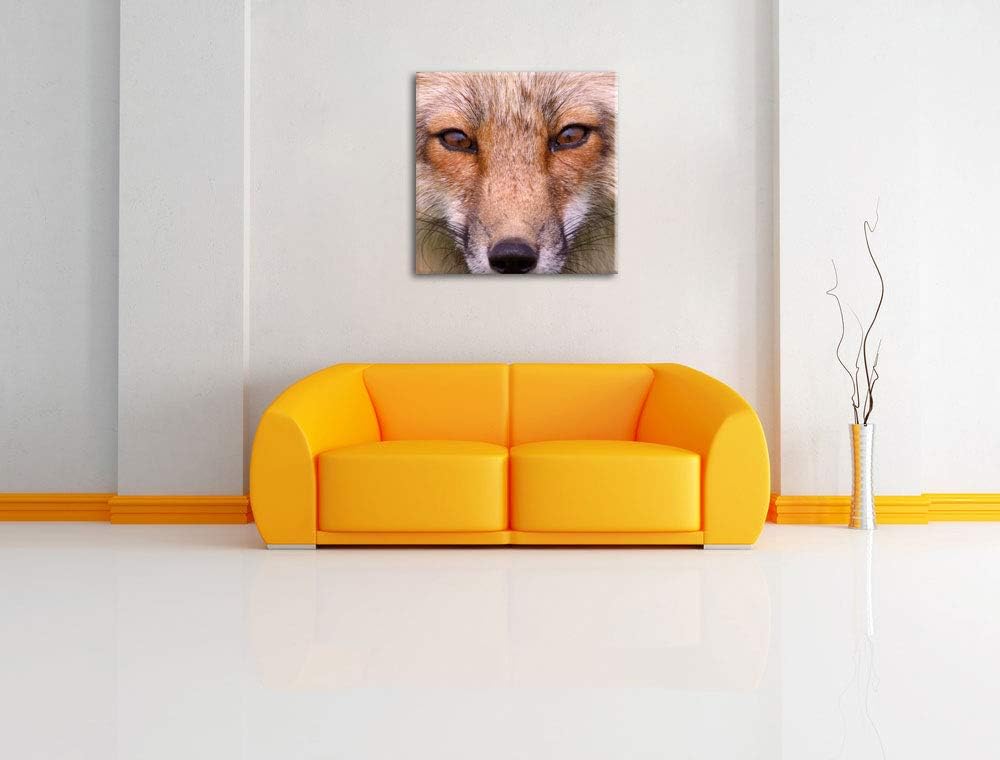 Pixxprint Fuchs Porträt, Format: 70x70 auf Leinwand, XXL riesige Bilder fertig gerahmt mit Keilrahme