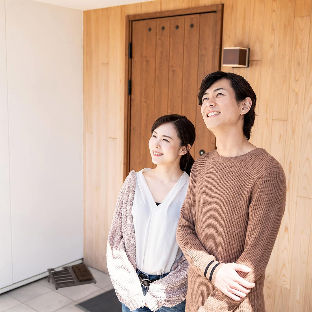 Relaxdays Schuhabstreifer, aus Gusseisen, grosse Bürste, Stiefelknecht, antikes Design, Aussenbereic