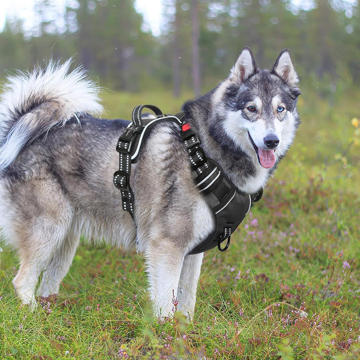 HEELE Hundegeschirr, Brustgeschirre für Hunde, Laufgeschirre Hund mit abschliessbarem Schnappverschl
